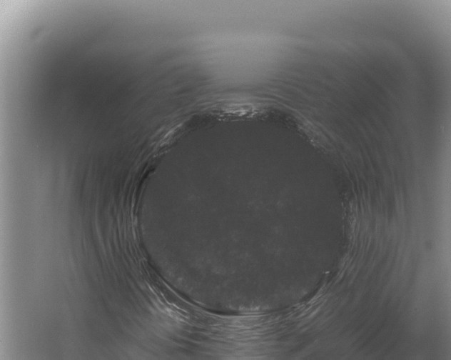 X0000062631394200512231000