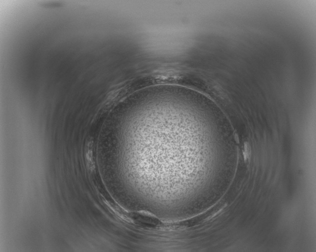 X0000062631396200512231000