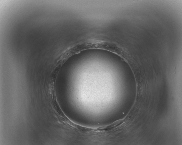 X0000062631397200512231001