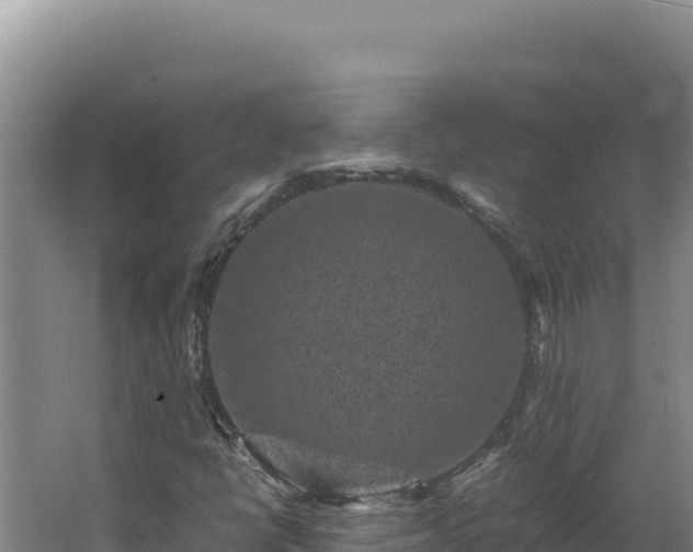 X0000062631398200512231001