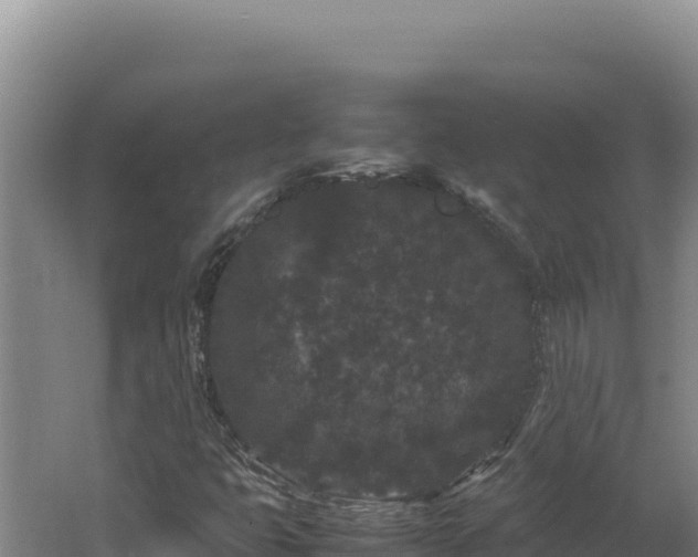 X0000062631399200512231001