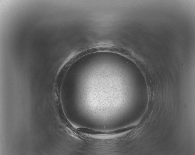 X0000062631400200512231001