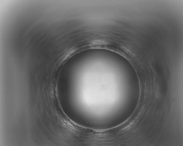 X0000062631401200512231001