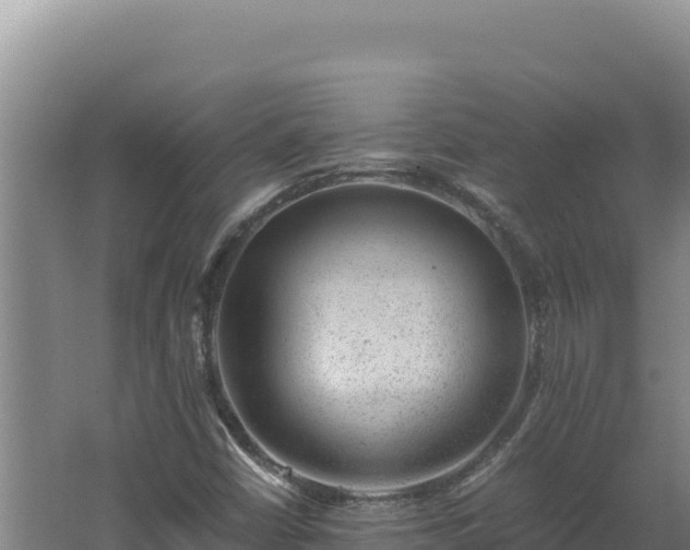 X0000062631402200512231001