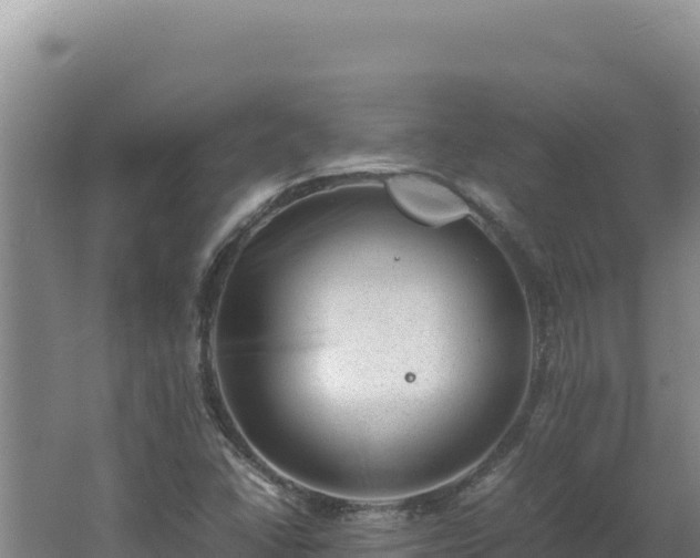 X0000062631406200512231001