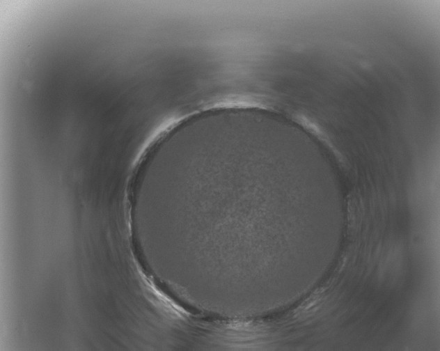 X0000062631408200512231001