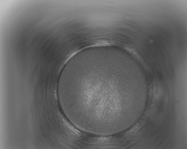 X0000062631409200512231001