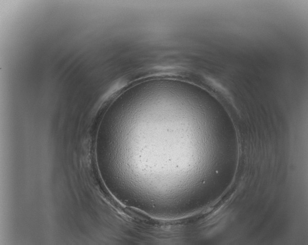 X0000062631411200512231001