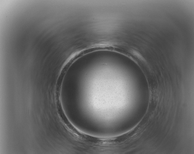 X0000062631412200512231001