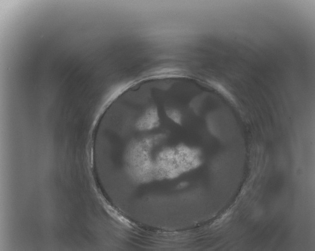 X0000062631413200512231001