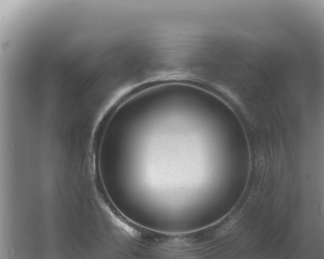 X0000062631414200512231001