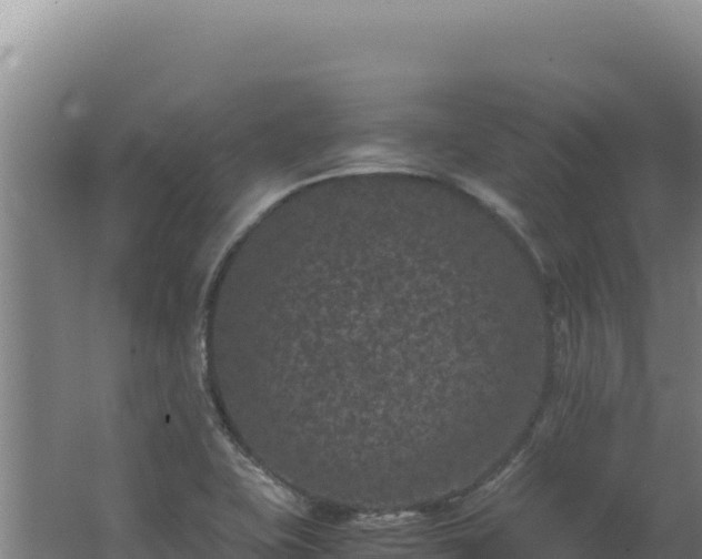 X0000062631415200512231001