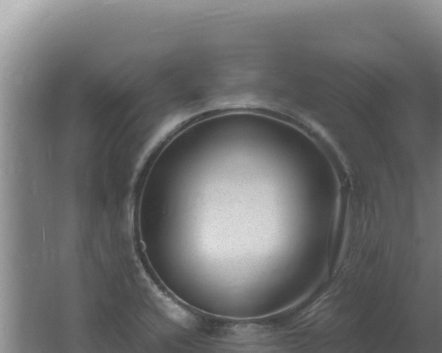 X0000062631416200512231001