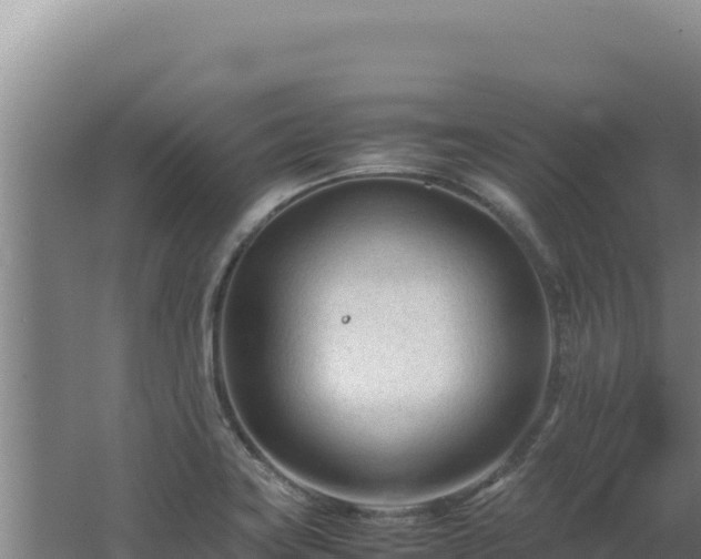 X0000062631419200512231001