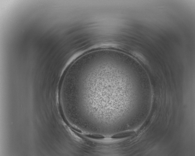 X0000062631420200512231001