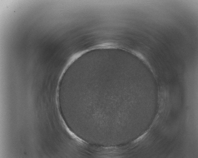 X0000062631421200512231001