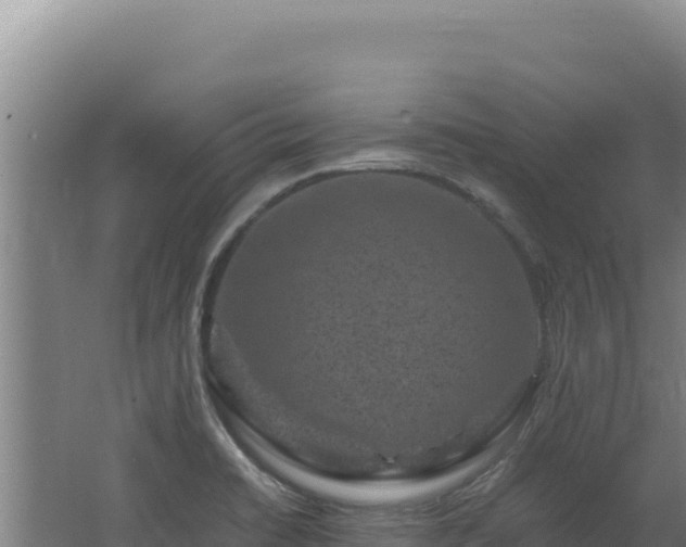 X0000062631422200512231001