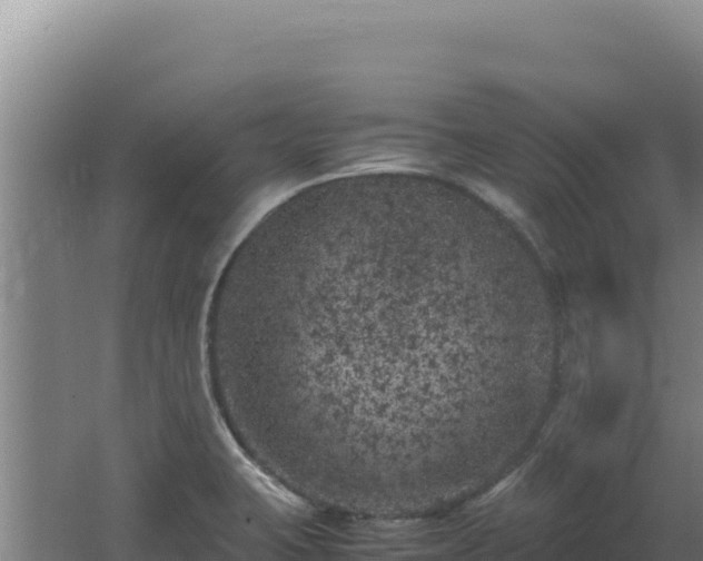 X0000062631423200512231001