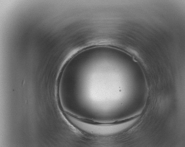 X0000062631424200512231001