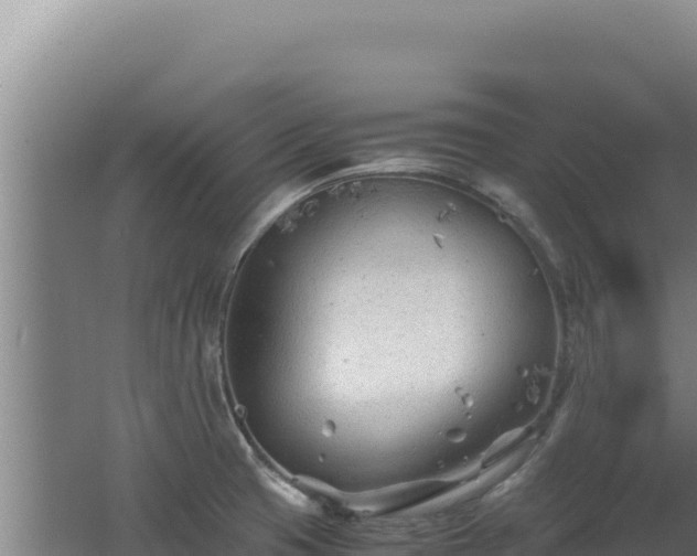 X0000062631425200512231001