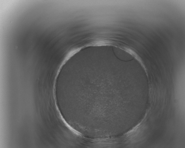 X0000062631429200512231001