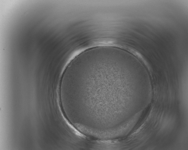 X0000062631432200512231001