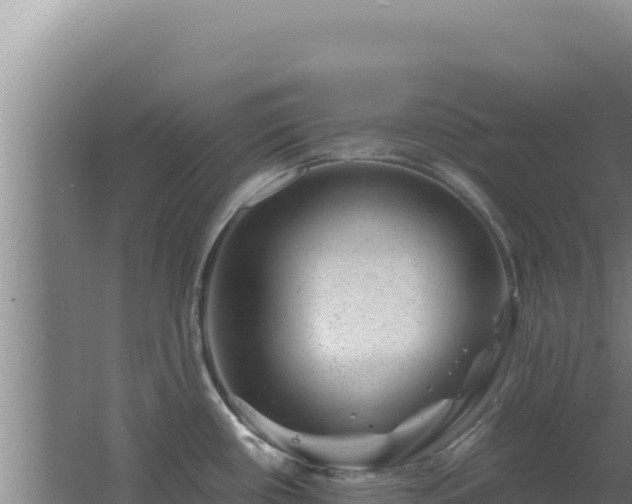 X0000062631434200512231001