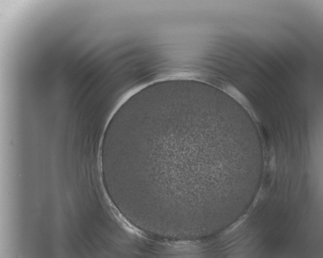 X0000062631436200512231001