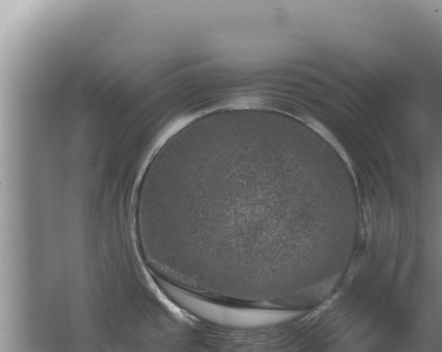 X0000062631437200512231001