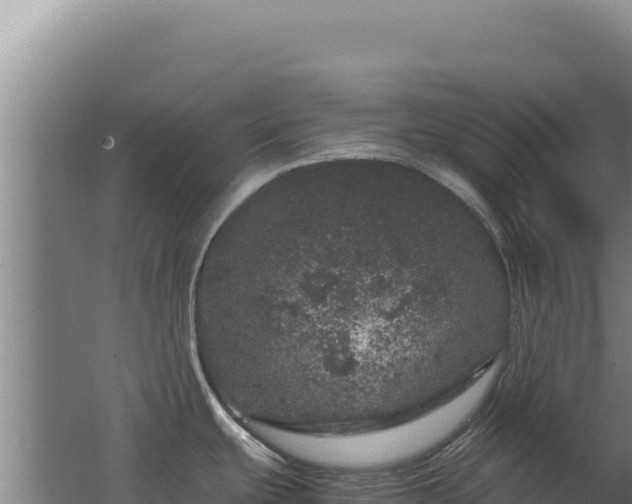 X0000062631439200512231001