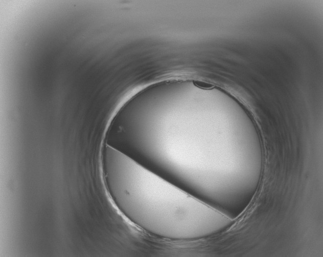 X0000062631440200512231001