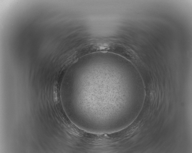 X0000062631442200512231000