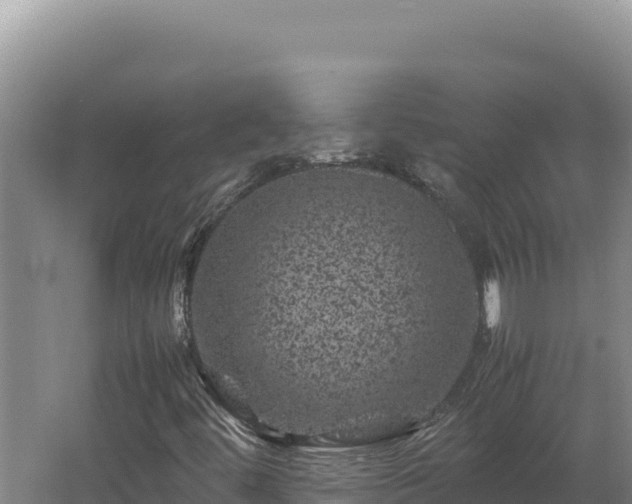 X0000062631444200512231000