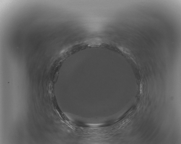 X0000062631445200512231000