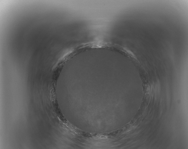 X0000062631446200512231000