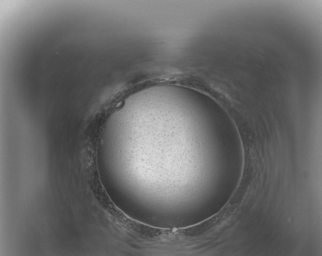 X0000062631447200512231000