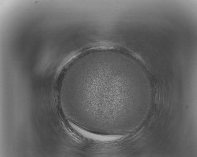 X0000062631448200512231000