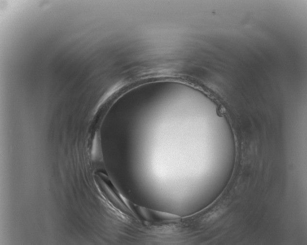 X0000062631450200512231000