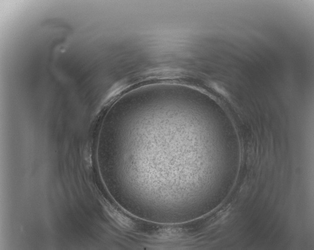 X0000062631451200512231000