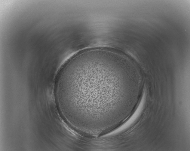 X0000062631452200512231000