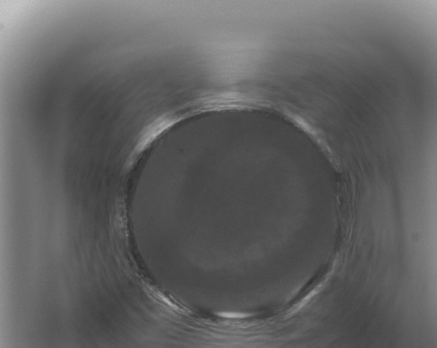 X0000062631453200512231000