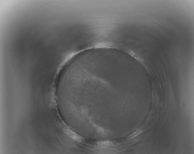 X0000062631454200512231000