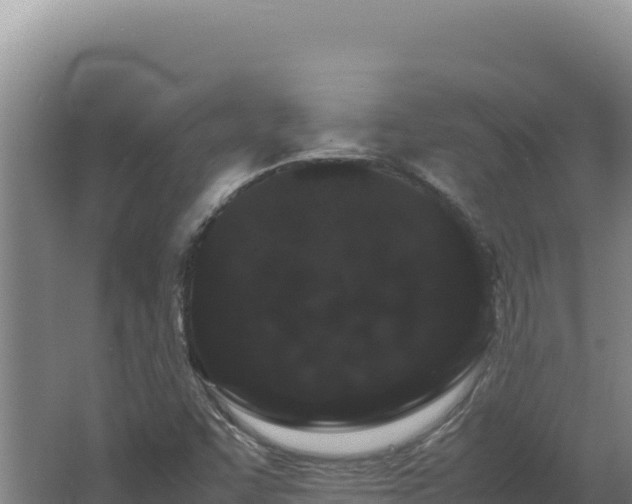 X0000062631455200512231000