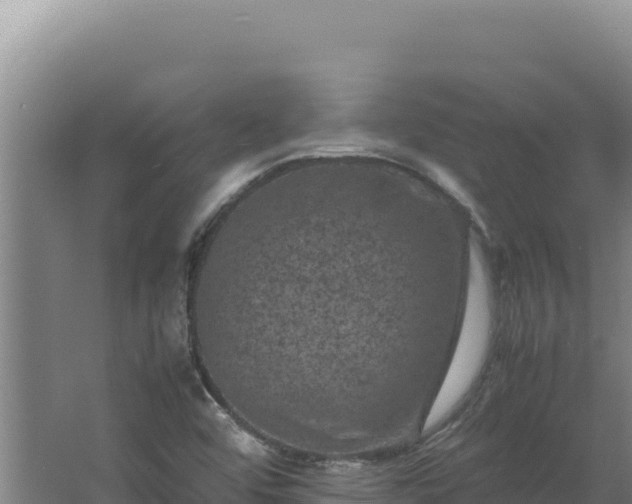 X0000062631456200512231000