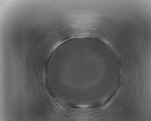 X0000062631457200512231000