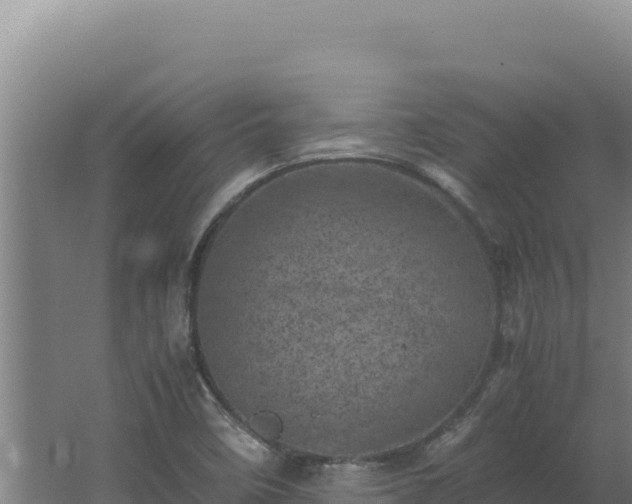 X0000062631458200512231000