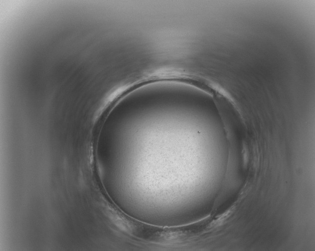 X0000062631461200512231000