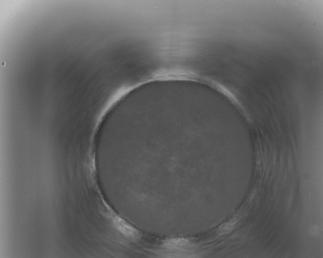 X0000062631462200512231000