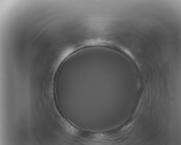 X0000062631463200512231000