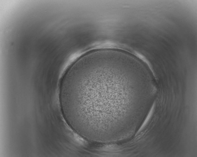 X0000062631464200512231000